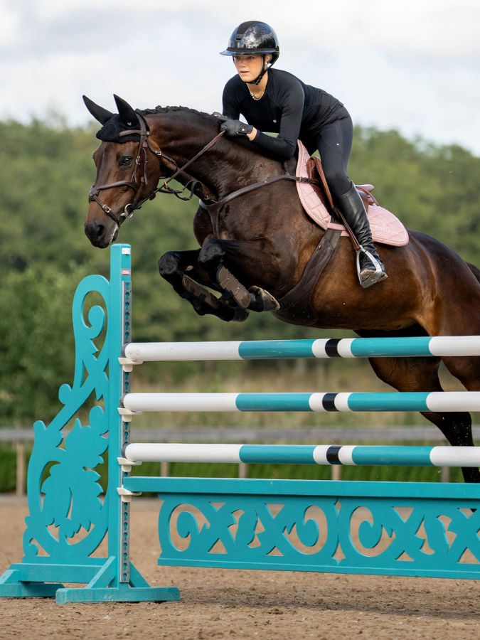 Line_Pink_4_32_1536x2048_e164baa3-73fd-4148-882f-406a63e04844